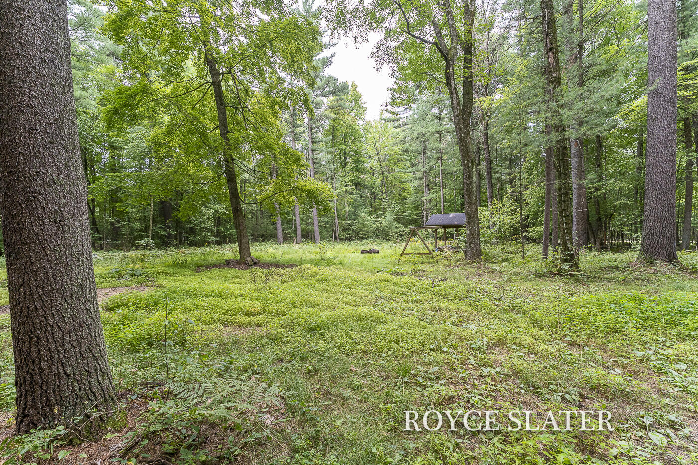11442 Whitefish Road Newaygo, MI 49337 - Photo 6 of 33 Whitefish_12