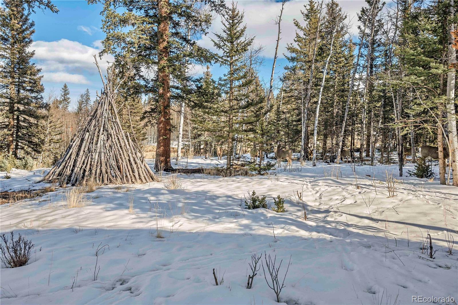 47 Piute Way Como, CO 80432 - Photo 49 of 50 a view of road with trees