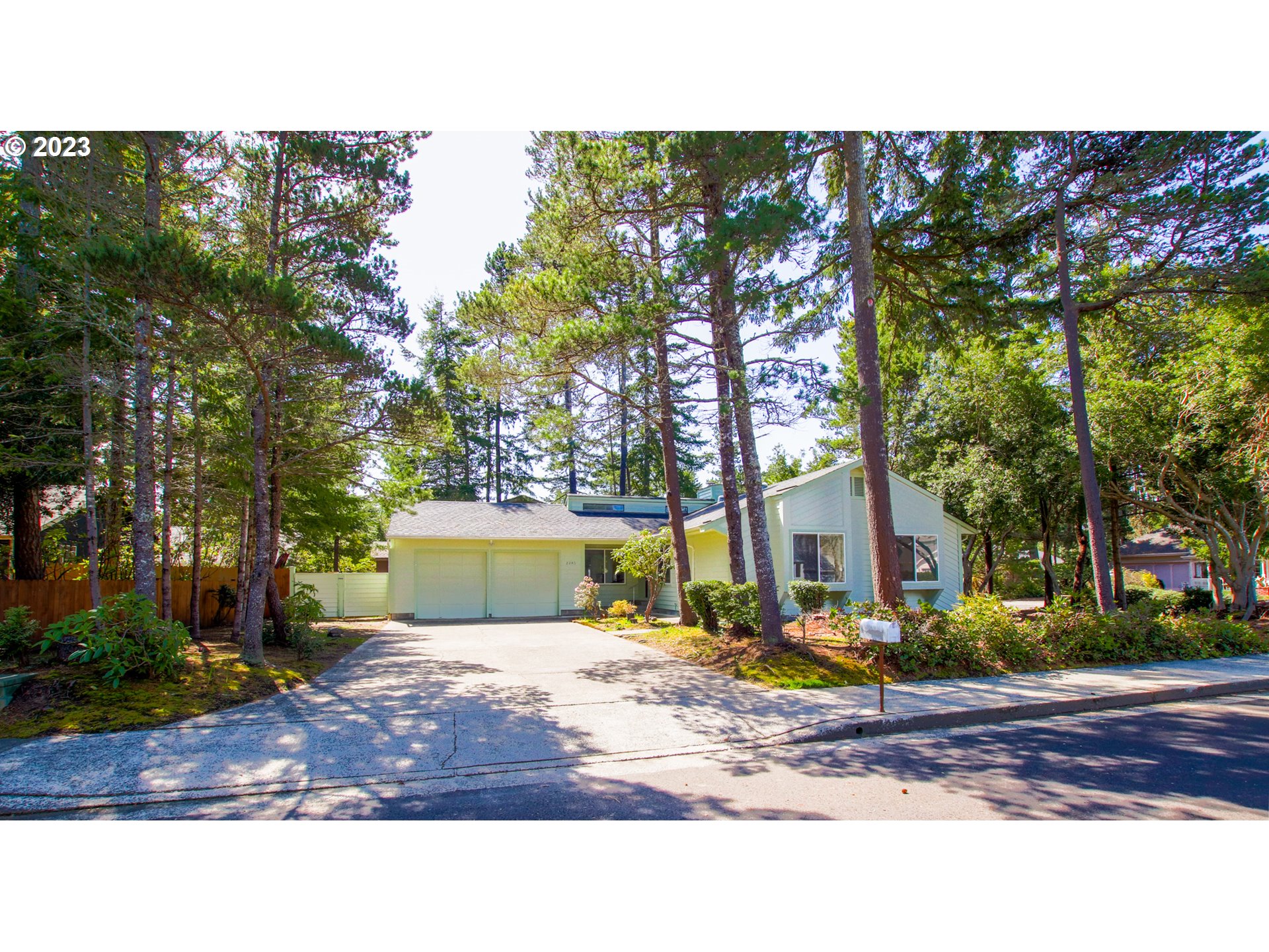 a view of a park with large trees