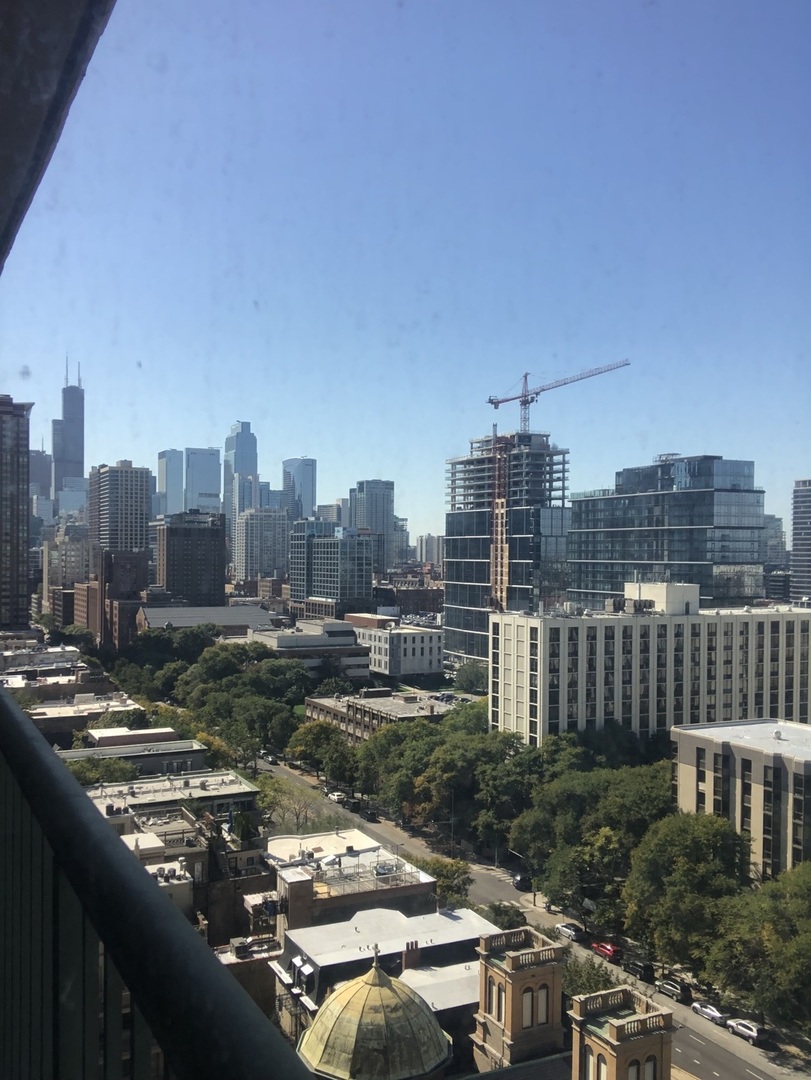 111 West Maple Street, Unit 1309 Chicago, IL 60610 - Photo 13 of 14 a view of a city