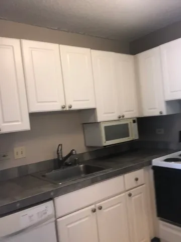 a kitchen with a sink a stove and cabinets