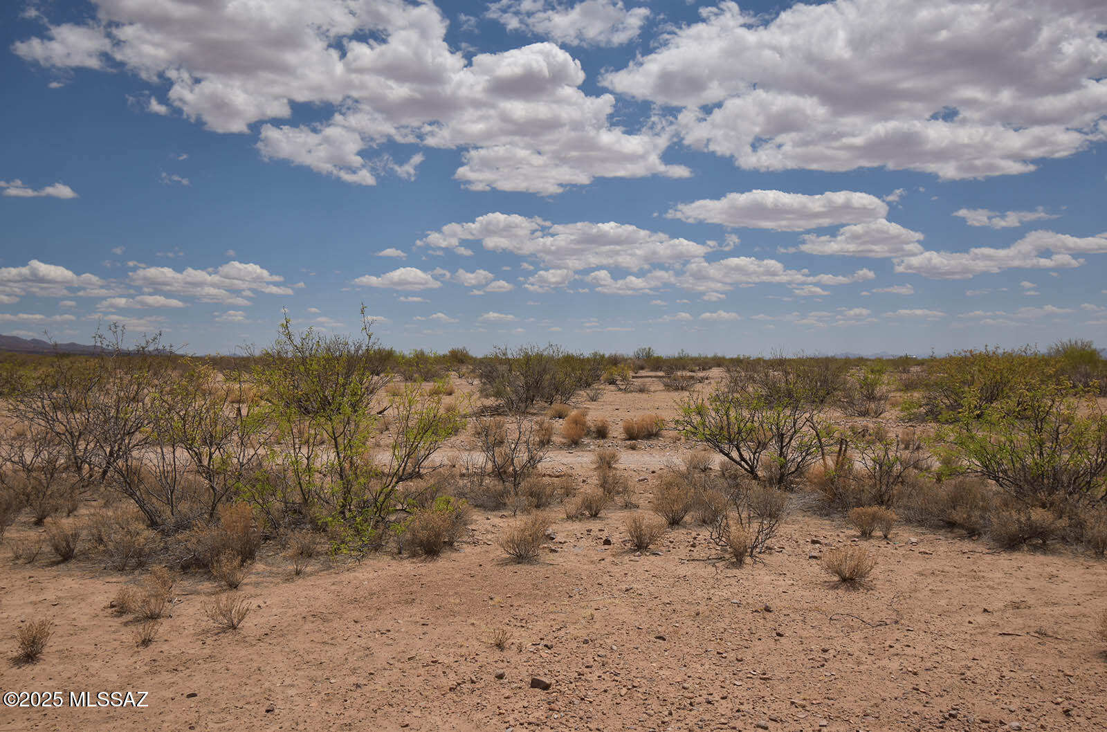 2.7-ac West Austin Henely Road, Unit 706 Elfrida, AZ 85610 - Photo 11 of 17