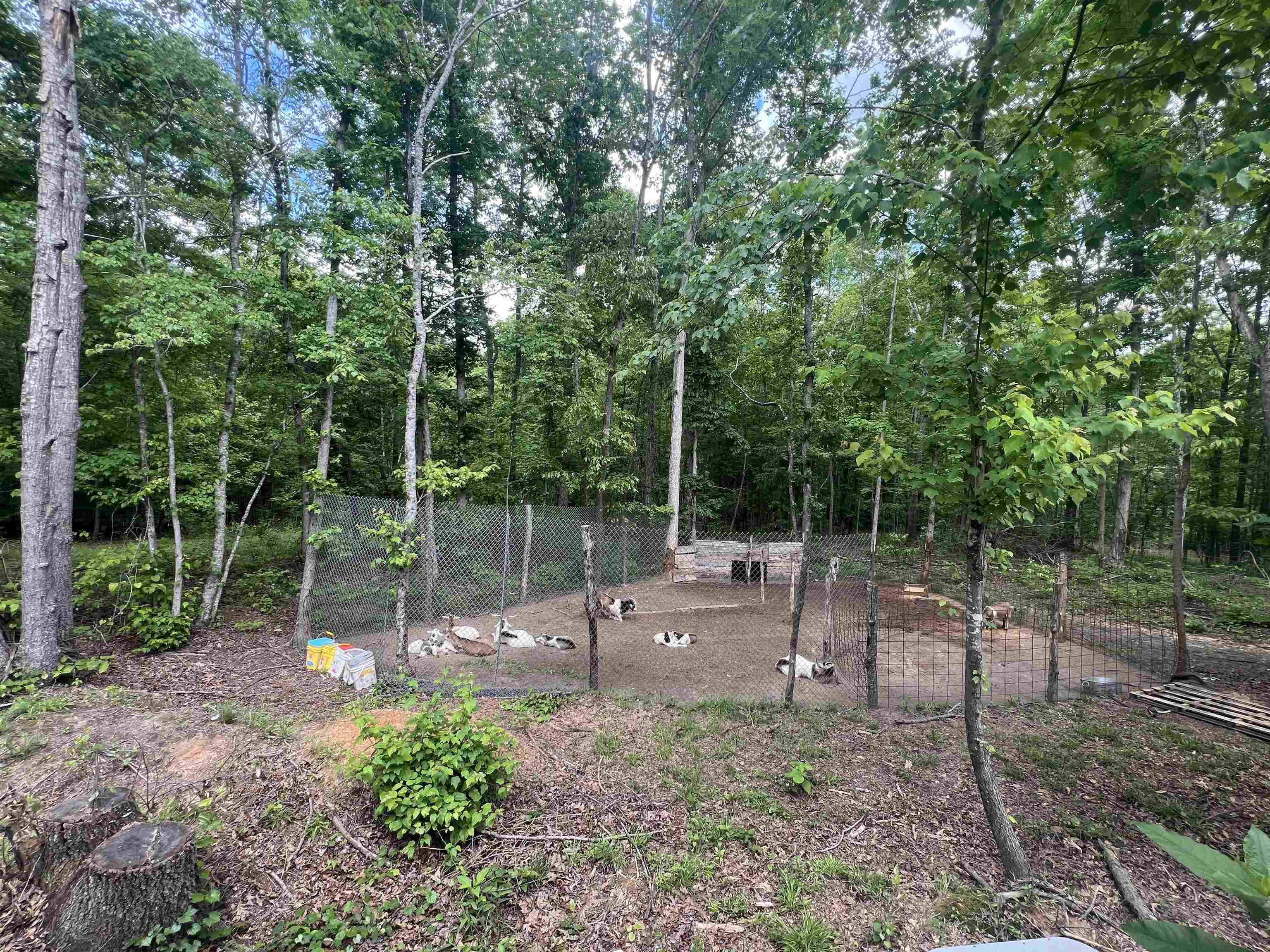 150 Mount Comfort Road Savannah, TN 38372 - Photo 15 of 31 Gallery Image 15