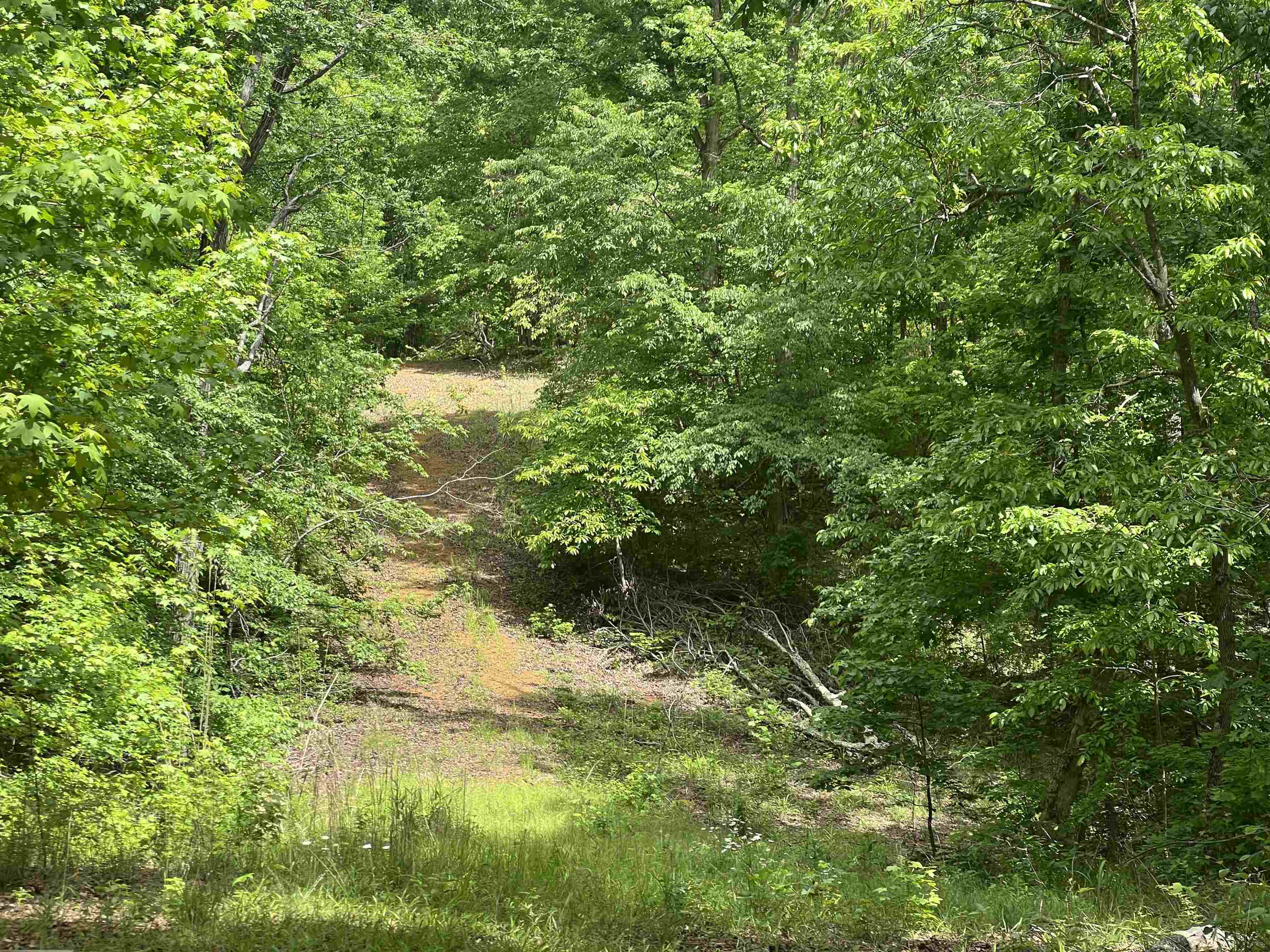 150 Mount Comfort Road Savannah, TN 38372 - Photo 22 of 31 Gallery Image 22