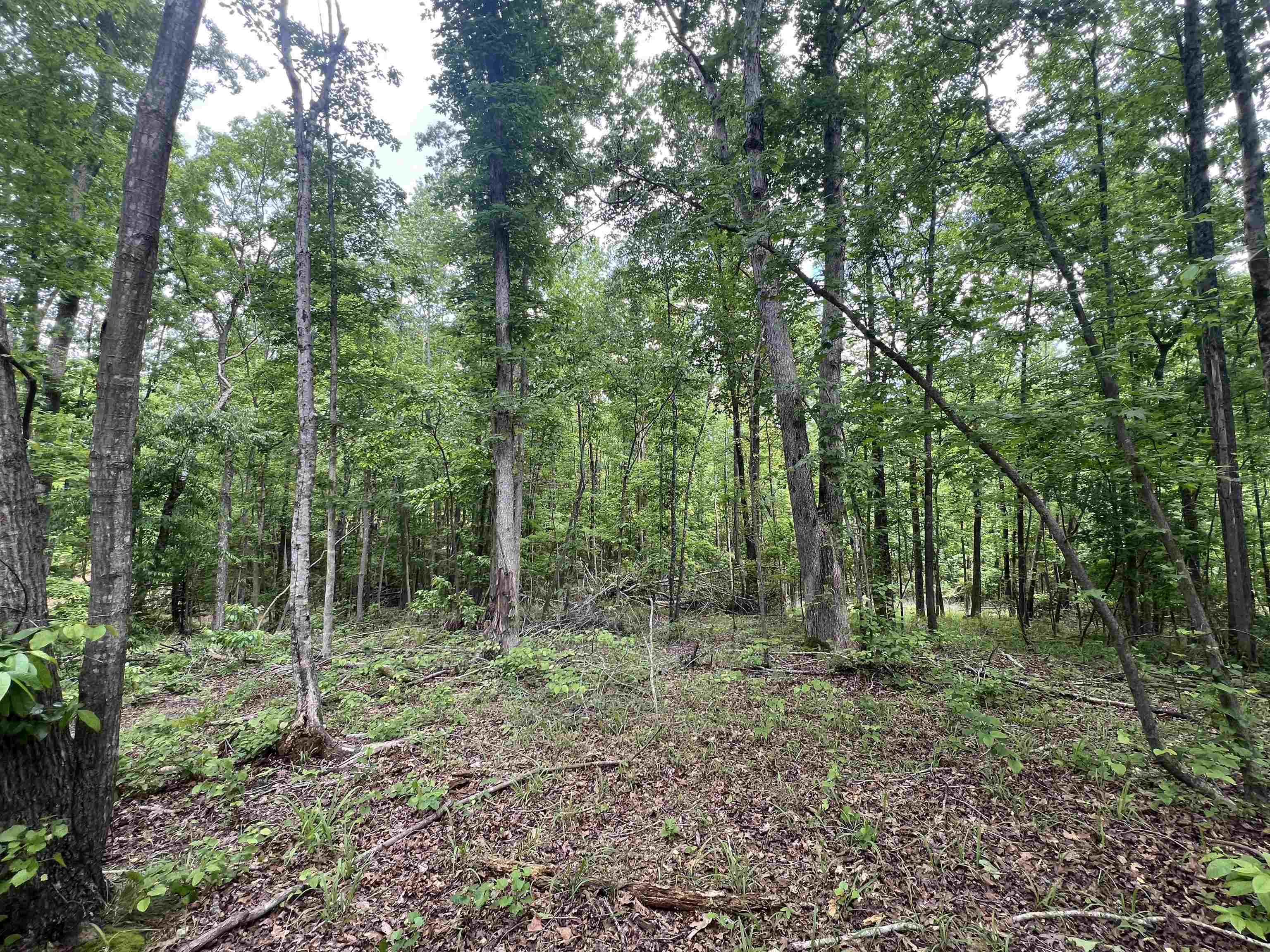 150 Mount Comfort Road Savannah, TN 38372 - Photo 25 of 31 Gallery Image 25