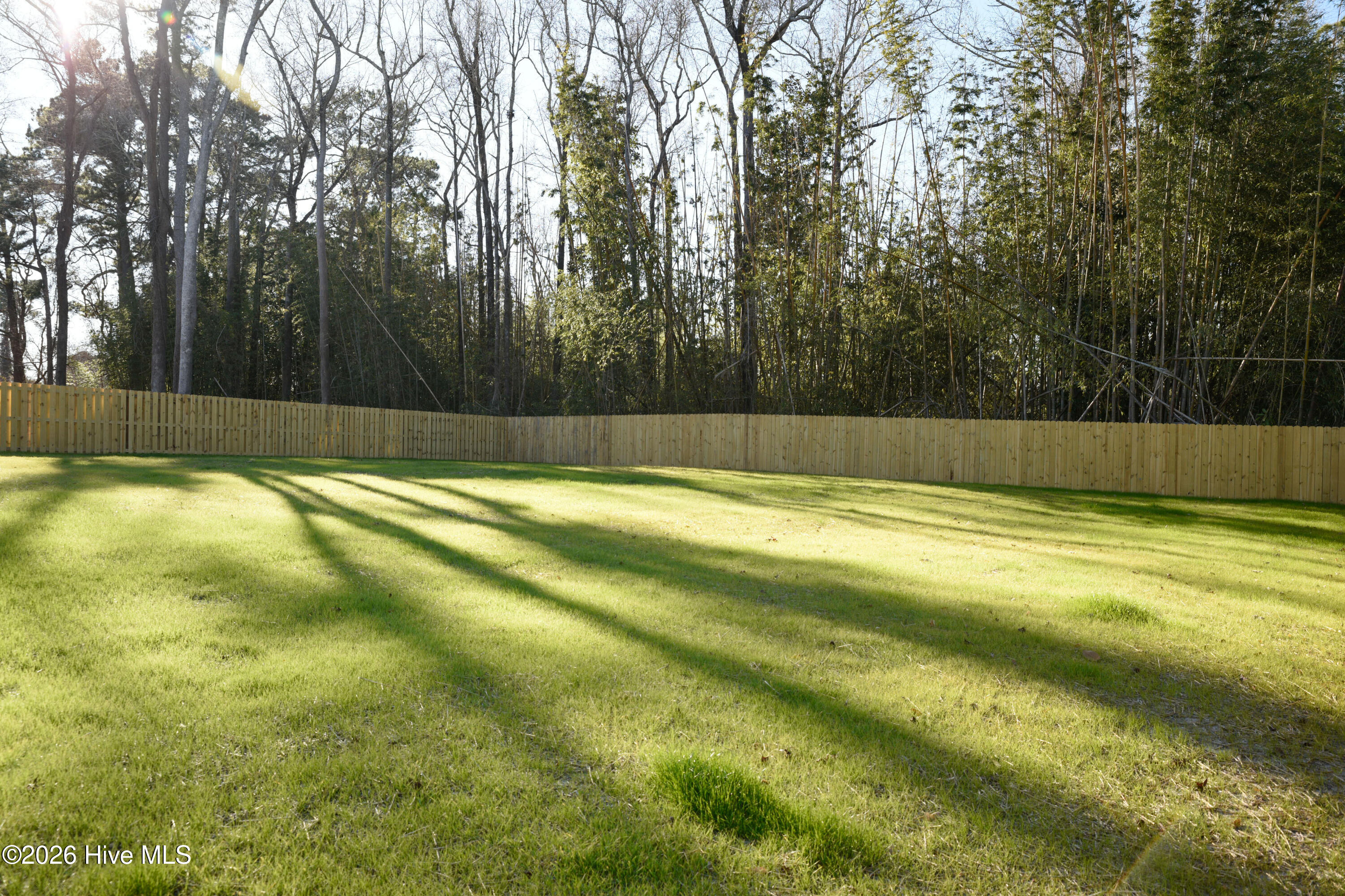 133 Spring Road Wilmington, NC 28401 - Photo 19 of 29 Huge fully fenced-in back yard!
