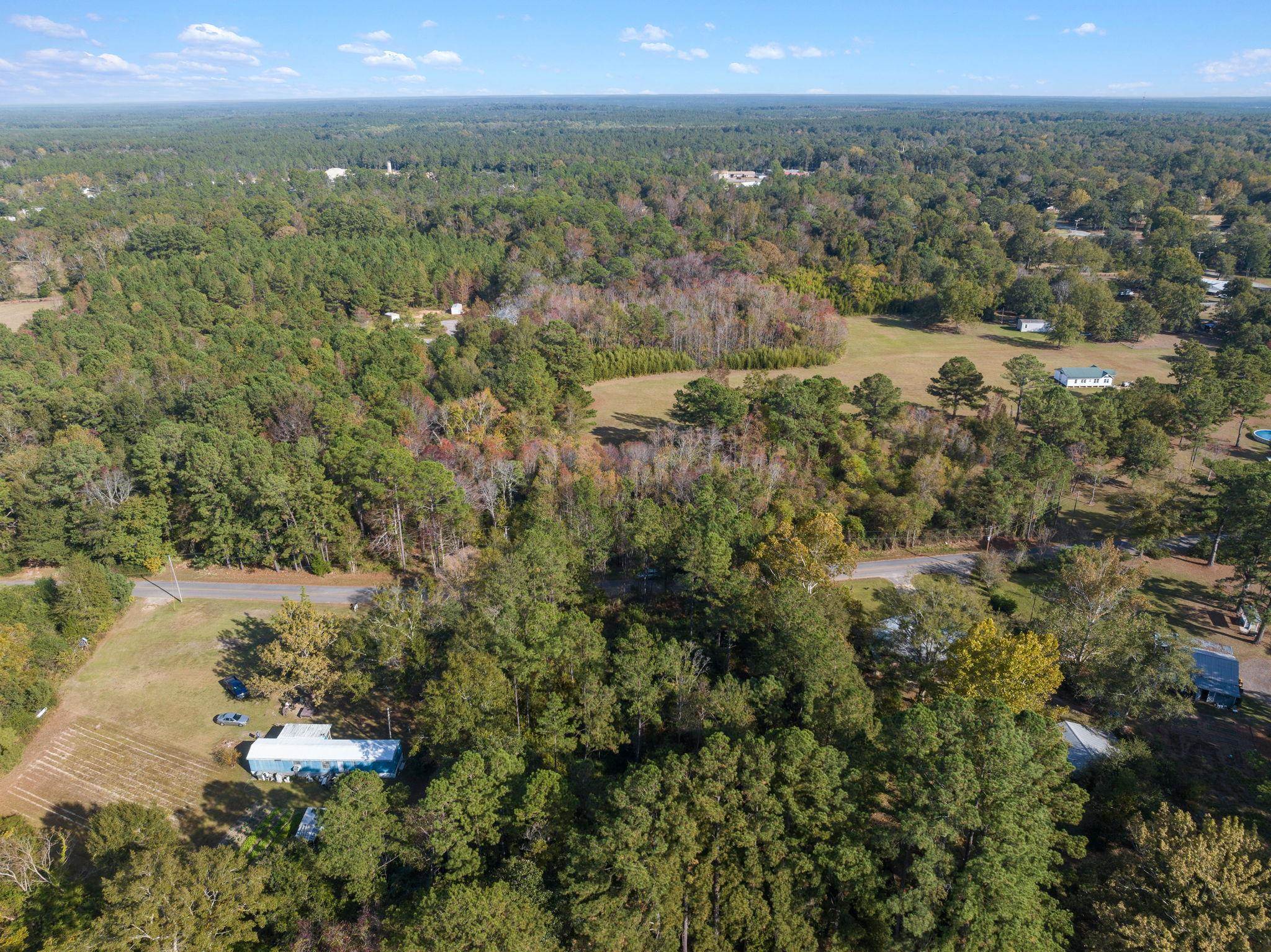 35741 Pine Road North Stapleton, AL 36578 - Photo 6 of 11
