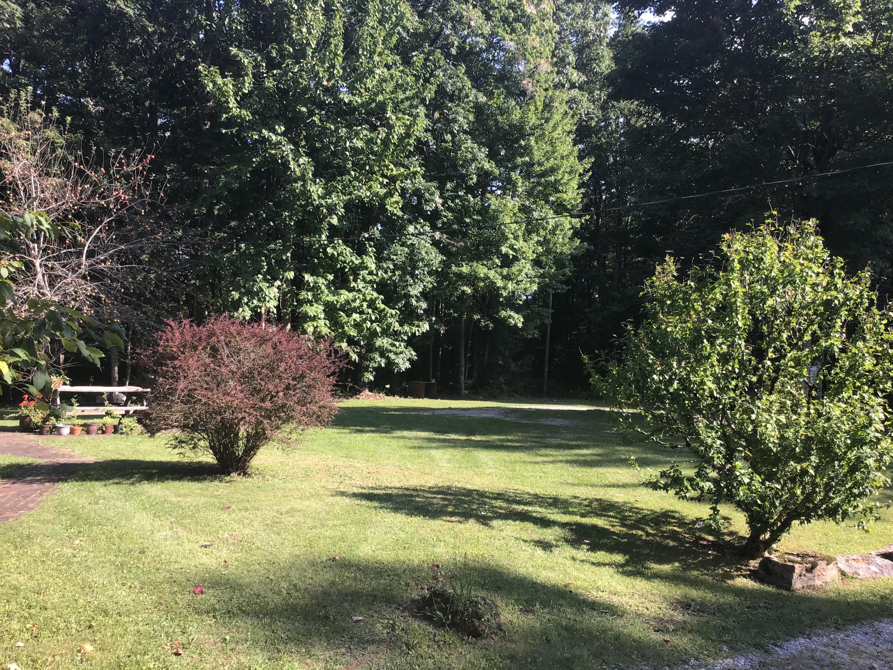 9437 Robin Road Coeburn, VA 24230 - Photo 7 of 60 7A2C2736-7D32-41A0-B9BC-9870AC67C597
