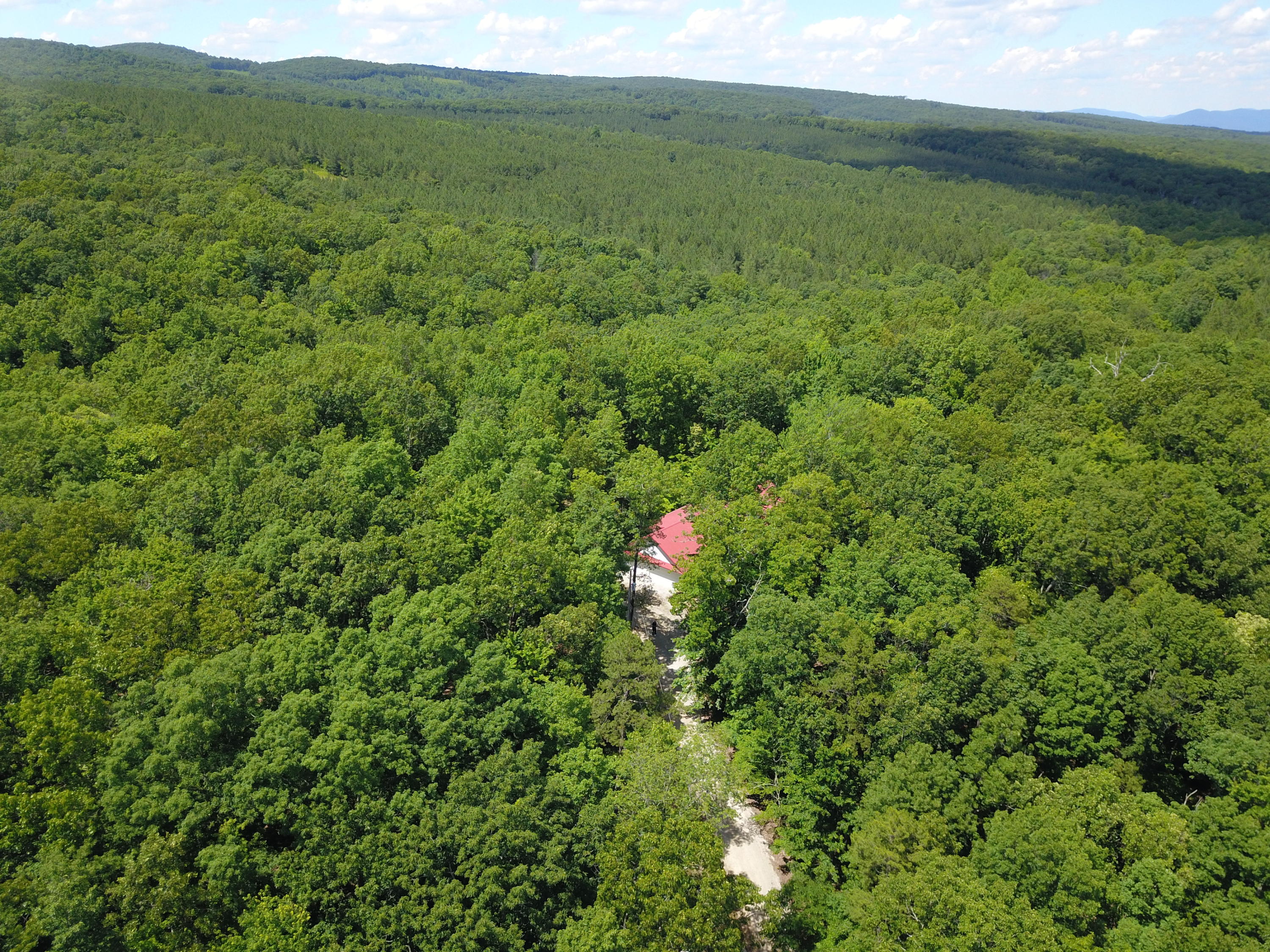 322 Catoosa Ridge Road Rockwood, TN 37854 - Photo 32 of 40 Overhead