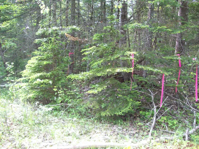 $34,900 | 3-24d Smith Road, Kingman, ME 04451