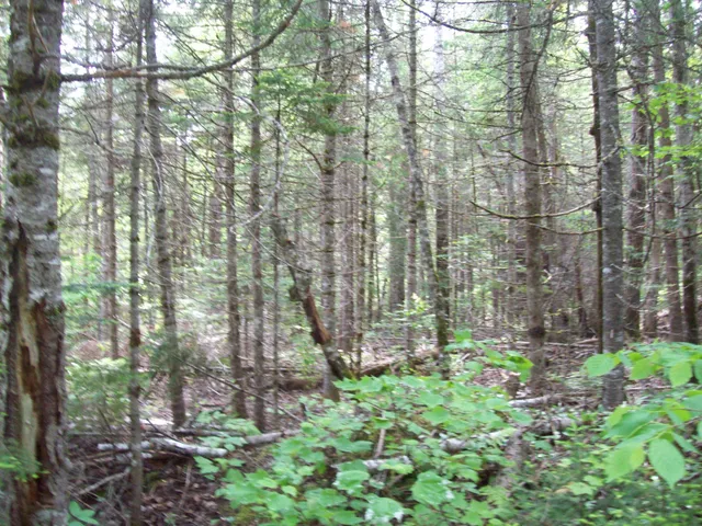 $34,900 | 3-24d Smith Road, Kingman, ME 04451