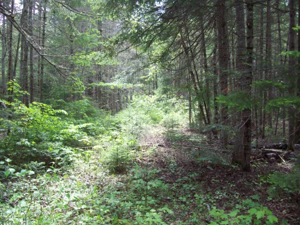 $34,900 | 3-24d Smith Road, Kingman, ME 04451