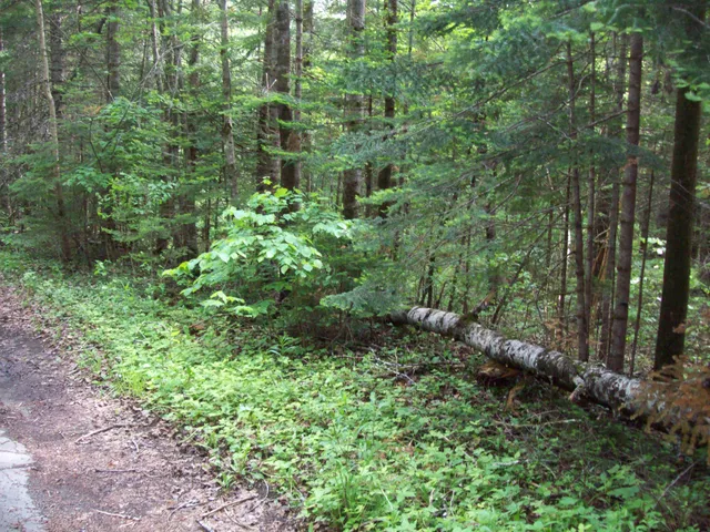 $34,900 | 3-24d Smith Road, Kingman, ME 04451