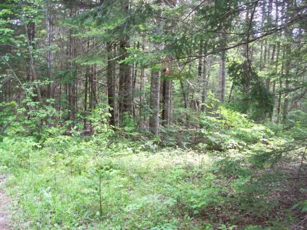 $34,900 | 3-24d Smith Road, Kingman, ME 04451