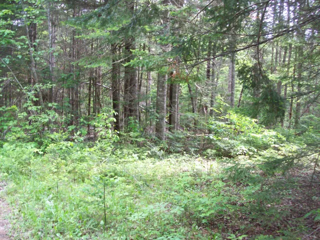 $34,900 | 3-24d Smith Road, Kingman, ME 04451