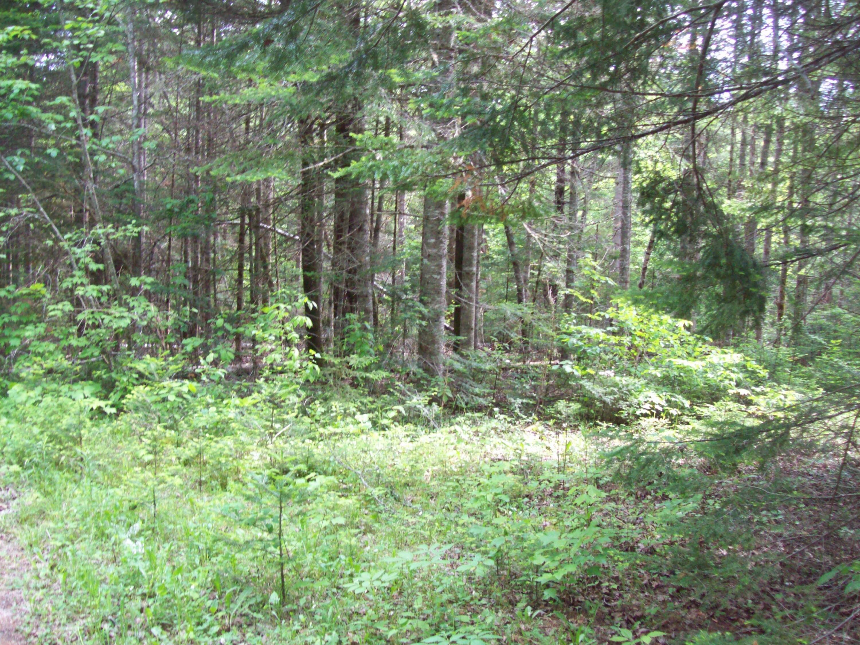 3-24d Smith Road Kingman, ME 04451 - Photo 18 of 18 Ross & Hooper primary