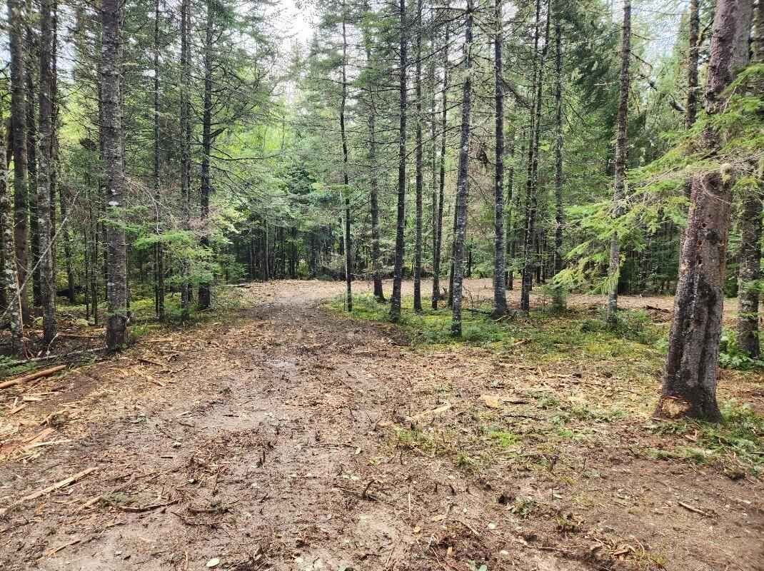 3-24d Smith Road Kingman, ME 04451 - Photo 6 of 18 6