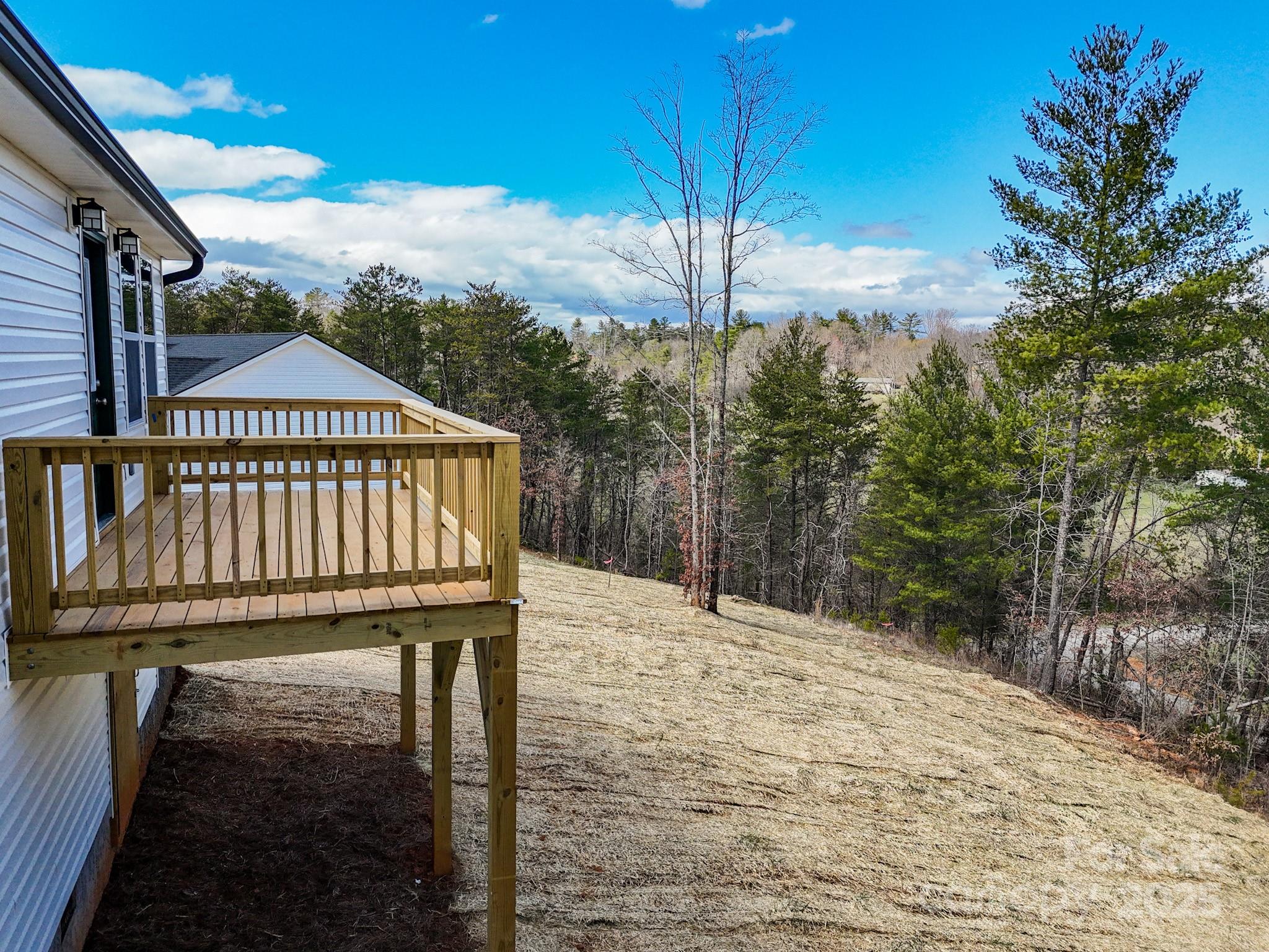 161 Wilson Farm Road Weaverville, NC 28787 - Photo 3 of 43 Gallery Image 3
