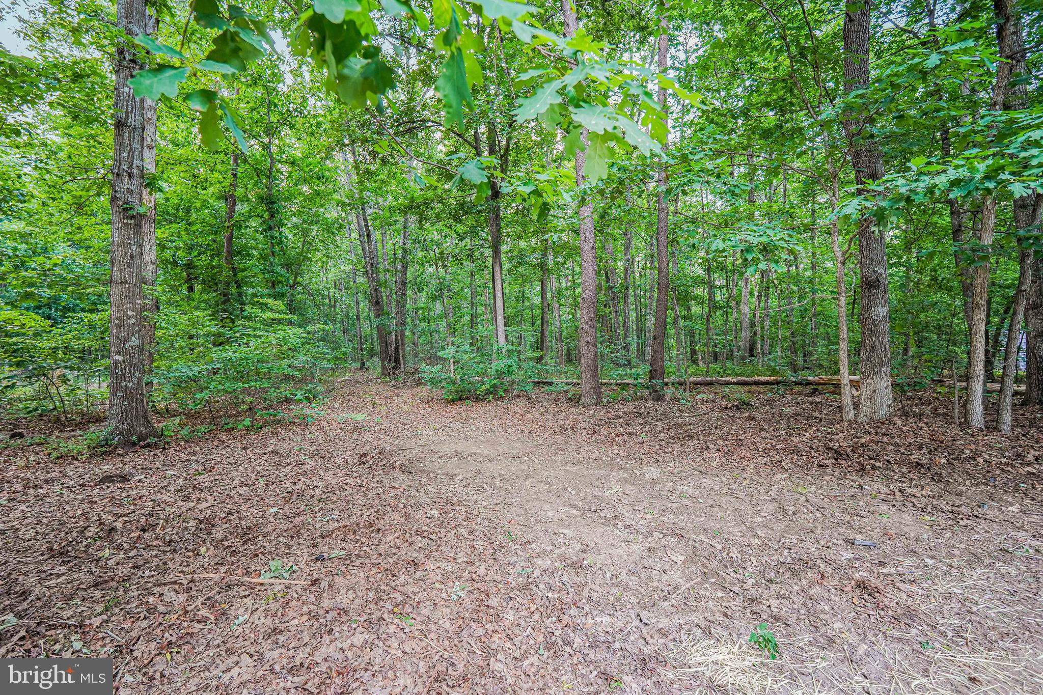 767 Loving Road Zion Crossroads, VA 22942 - Photo 28 of 33 a view of a large yard with lots of green space