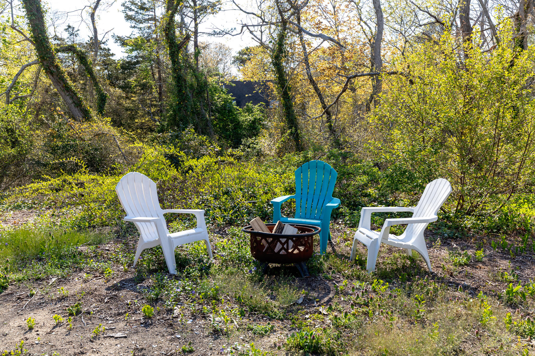 1295 Massasoit Road Eastham, MA 02642 - Photo 5 of 32 a backyard of a house with table and chairs