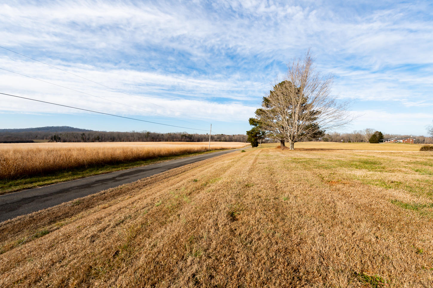 256 Chota View Road Vonore, TN 37885 - Photo 11 of 33 DSC_4358