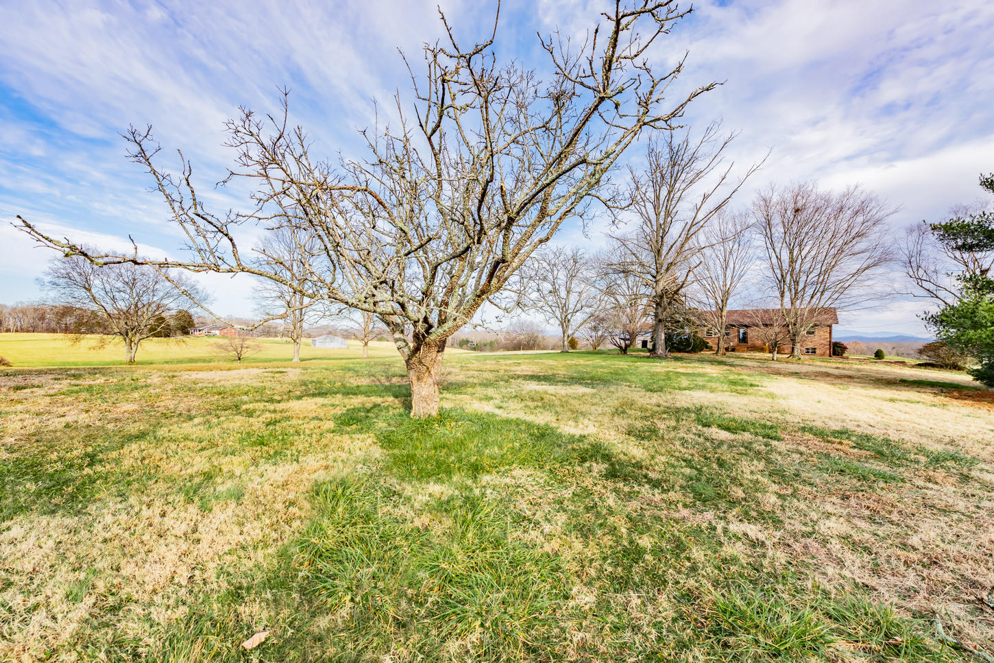 256 Chota View Road Vonore, TN 37885 - Photo 14 of 33 DSC_4376-Edit
