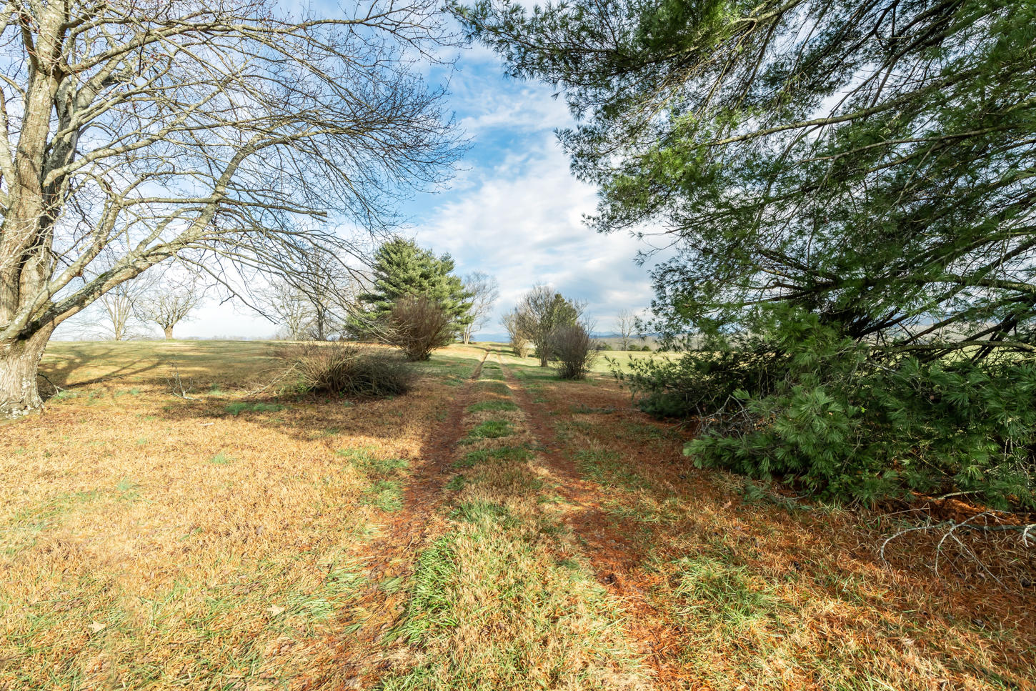 256 Chota View Road Vonore, TN 37885 - Photo 10 of 33 DSC_4353-Edit