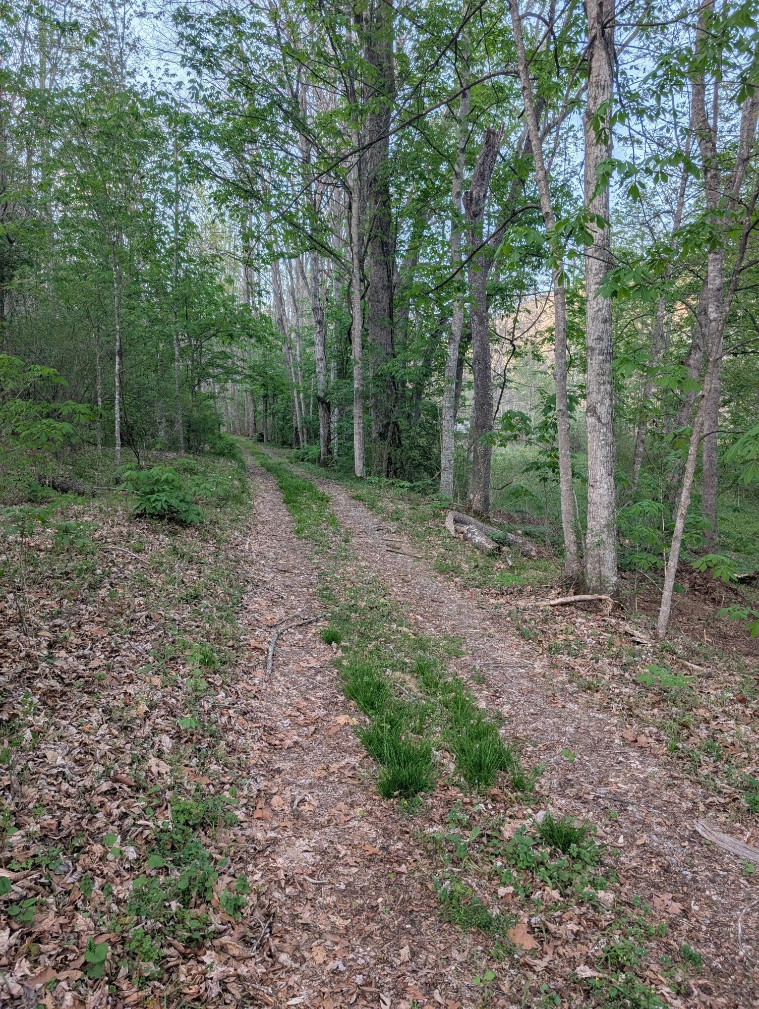 Tbd Keister Road Ronceverte, WV 24970 - Photo 2 of 14 Gallery Image 2