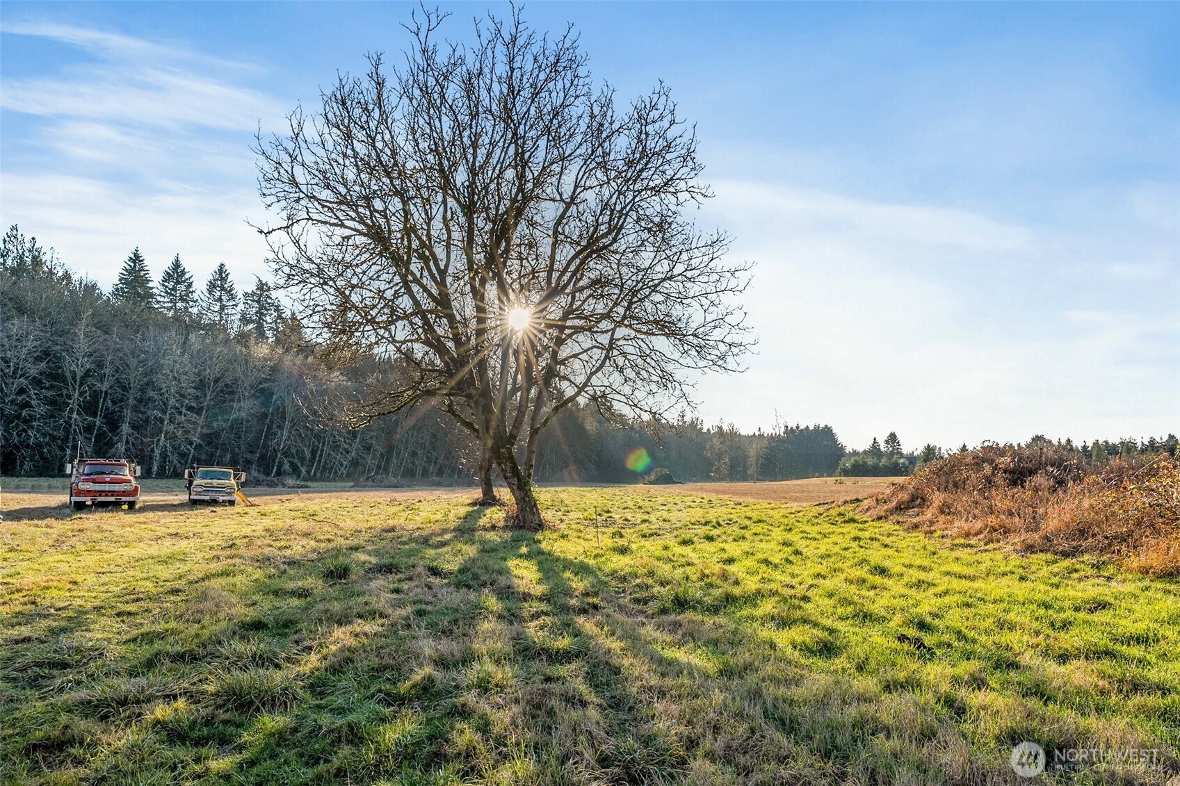 0 Collins Road Toledo, WA 98591 - Photo 12 of 25