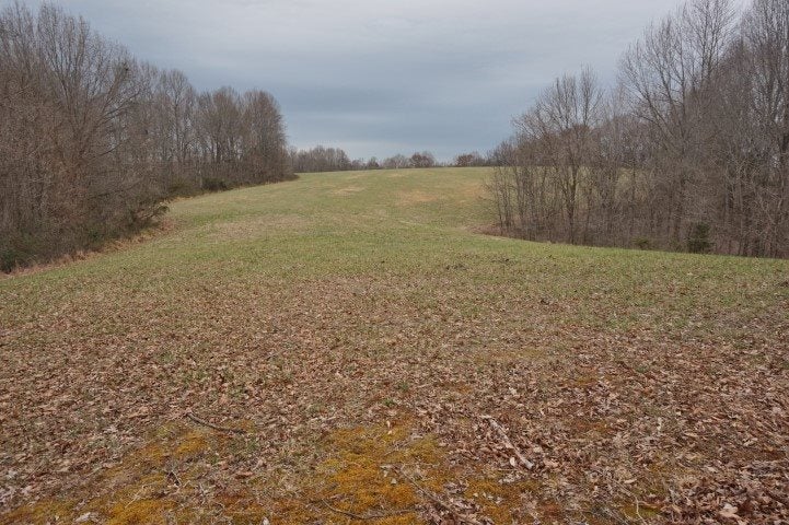 1347 Austin Boat Ramp Road Austin, KY 42123 - Photo 6 of 22 Gallery Image 6