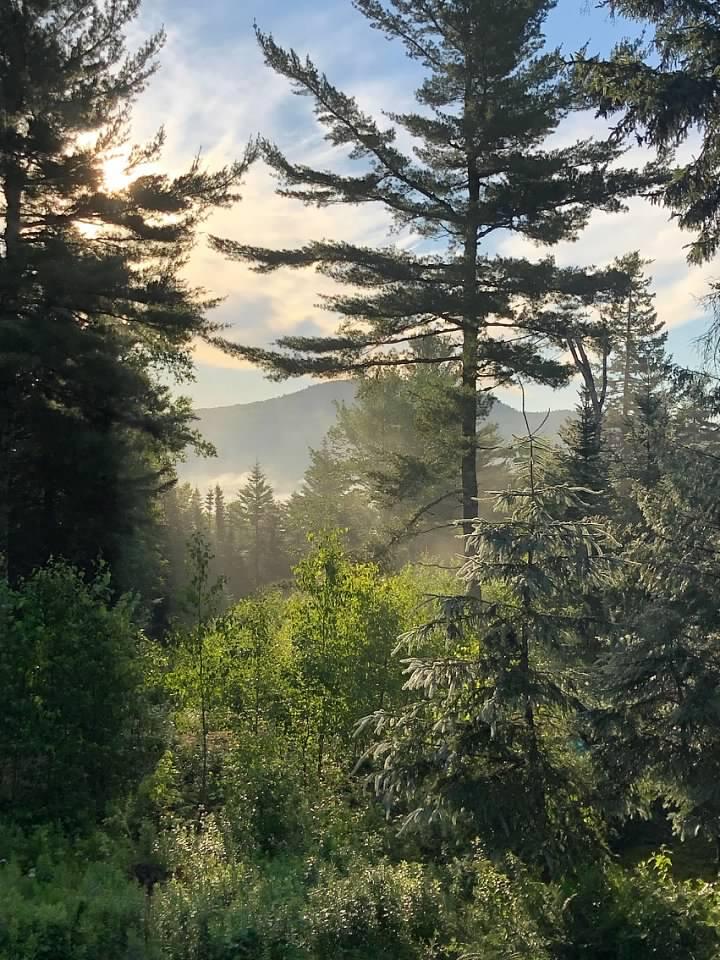 315 Hinckley Ridge Road Blue Hill, ME 04614 - Photo 3 of 59 Blue Hill Moutain Sunrise