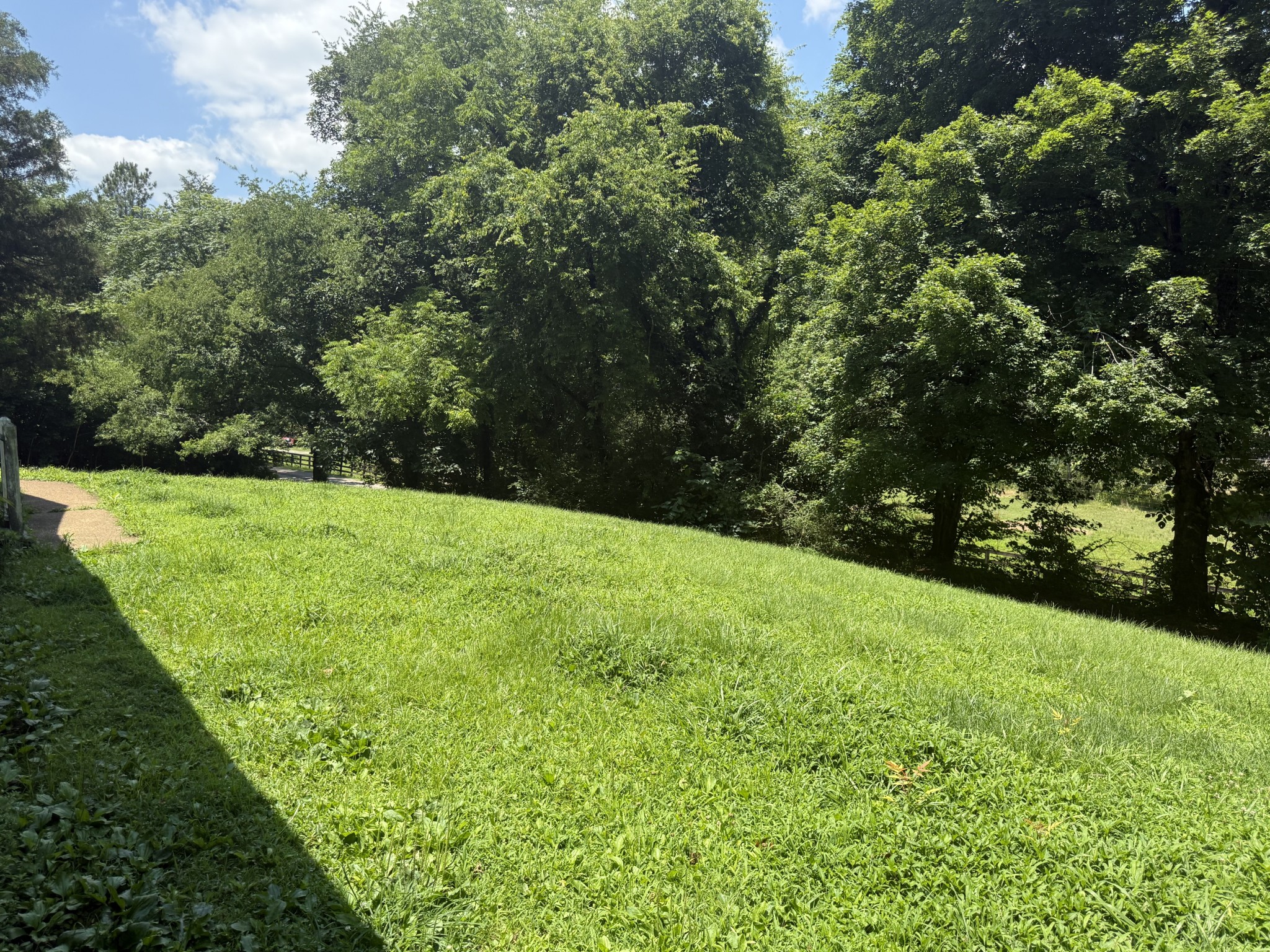 175 Angus Watts Road Pulaski, TN 38478 - Photo 17 of 19