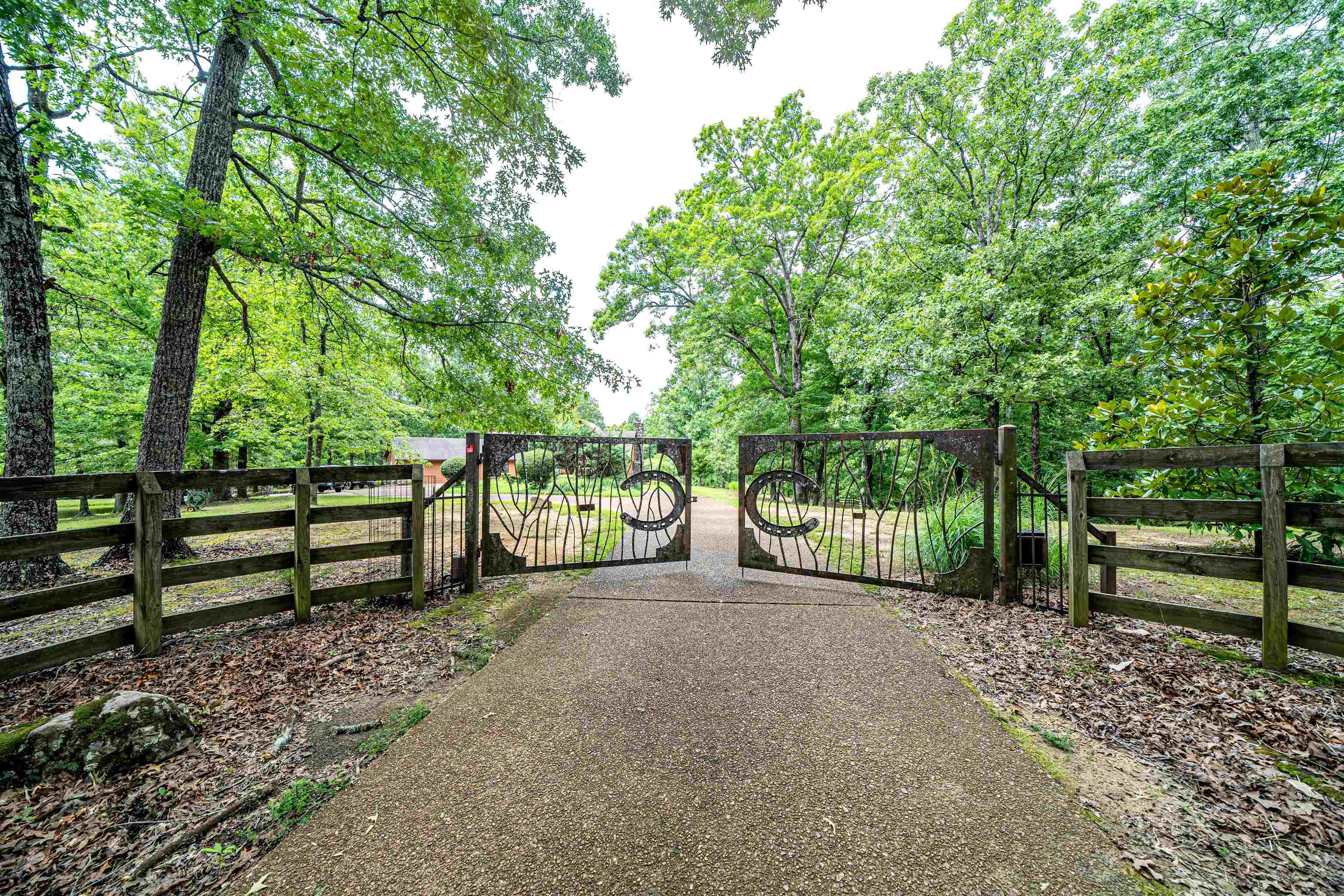 3255 Pittman Road Somerville, TN 38068 - Photo 5 of 35