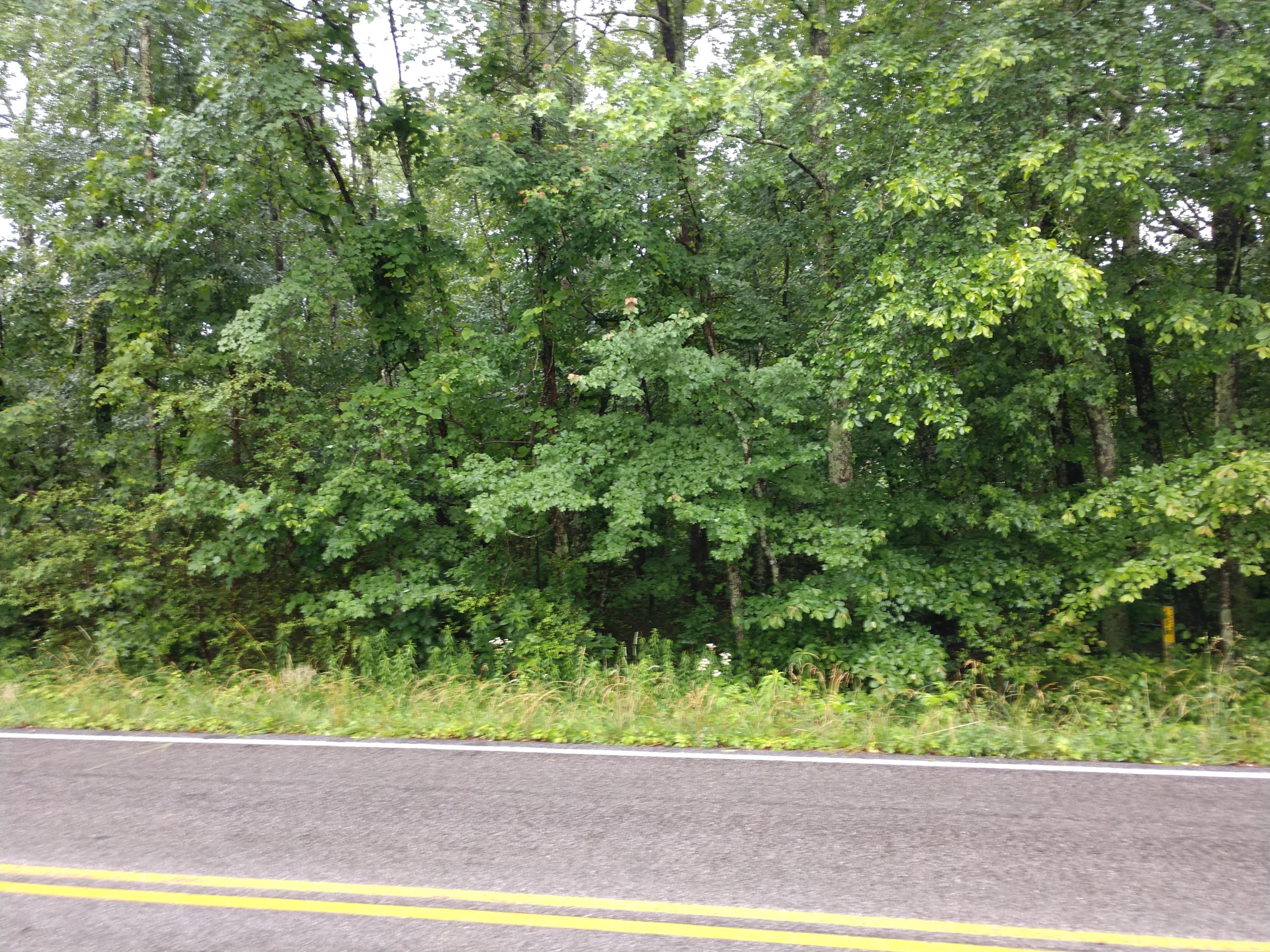 1460 Poe Road Soddy Daisy, TN 37379 - Photo 5 of 6 IMG_20180611_160329325