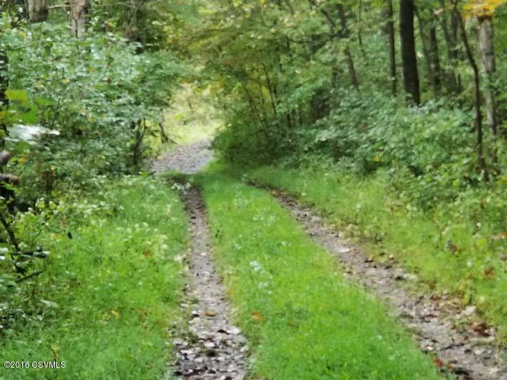 Lot 3 Scattered Acres Road Mifflin, PA 17058 - Photo 1 of 1 Gallery Image 1