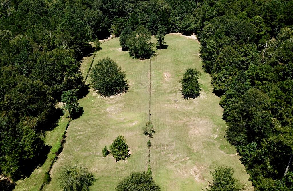 1602 County Road 50 Abbeville, AL 36310 - Photo 7 of 61