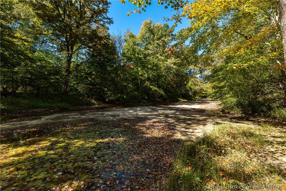 6251 Sarles Creek Road Floyds Knobs, IN 47119 - Photo 30 of 90