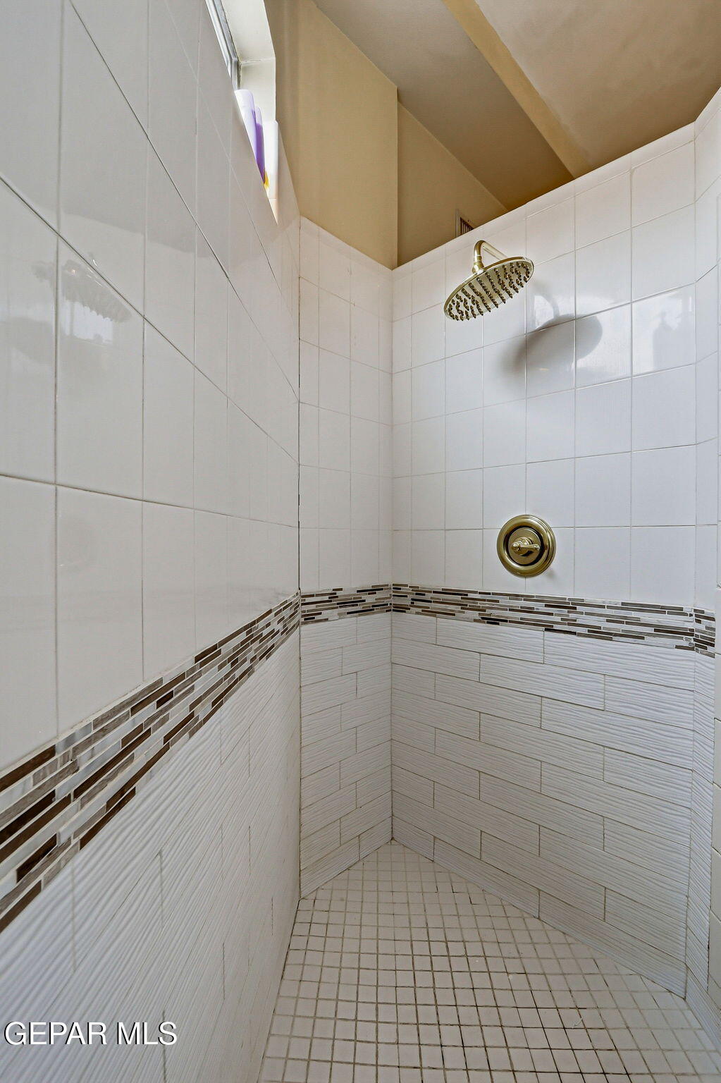 5806 Diamond Point Circle El Paso, TX 79912 - Photo 37 of 61 a bathroom with a shower