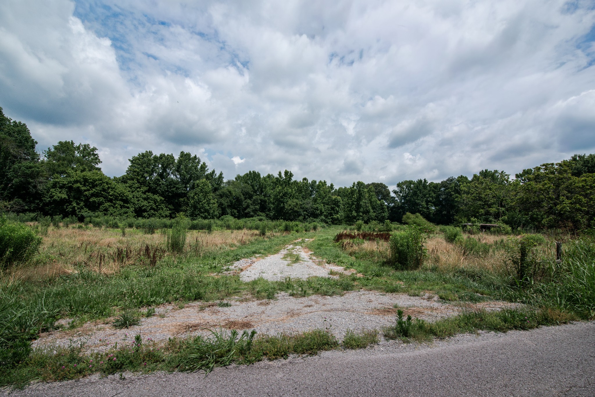 169 Pendergrass Road Flintville, TN 37335 - Photo 12 of 16