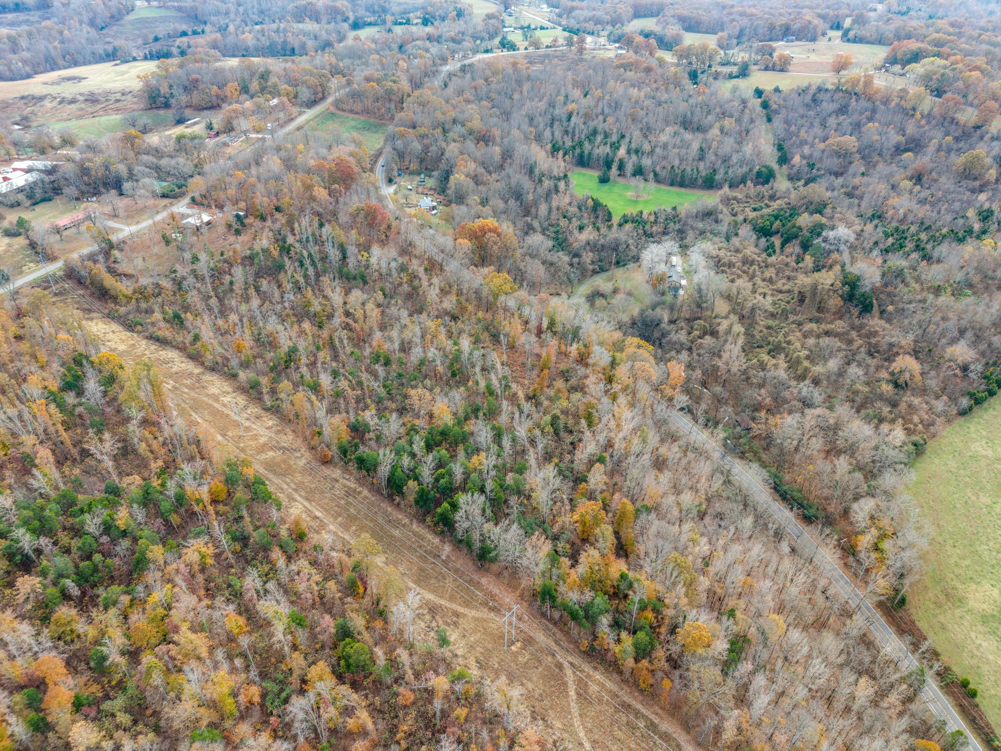 0 Rock Springs Road Charlotte, TN 37036 - Photo 13 of 17 a view of a forest with a tree