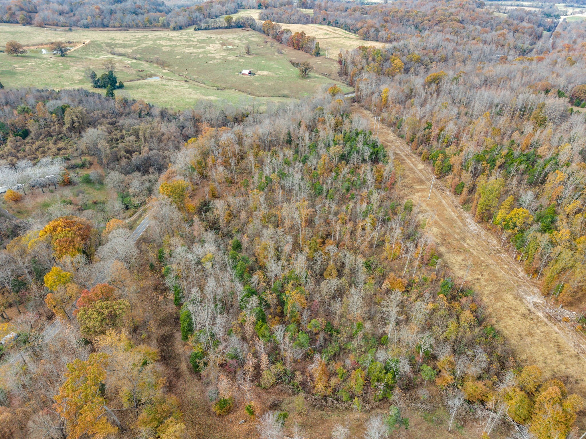 0 Rock Springs Road Charlotte, TN 37036 - Photo 6 of 17 a view of a yard with trees