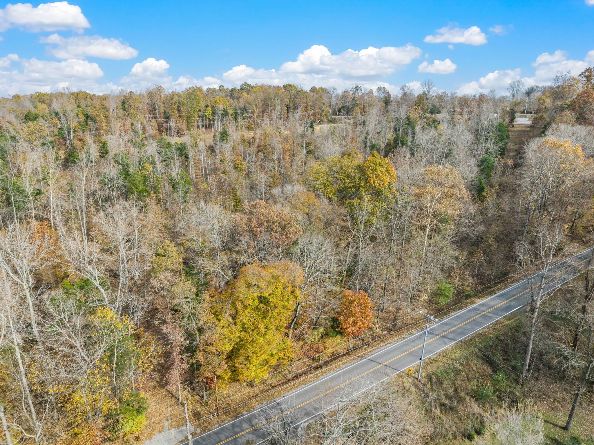 0 Rock Springs Road Charlotte, TN 37036 - Photo 9 of 17 a view of a with large trees