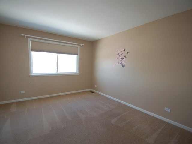 1494 Sutton Circle Wauconda, IL 60084 - Photo 15 of 24