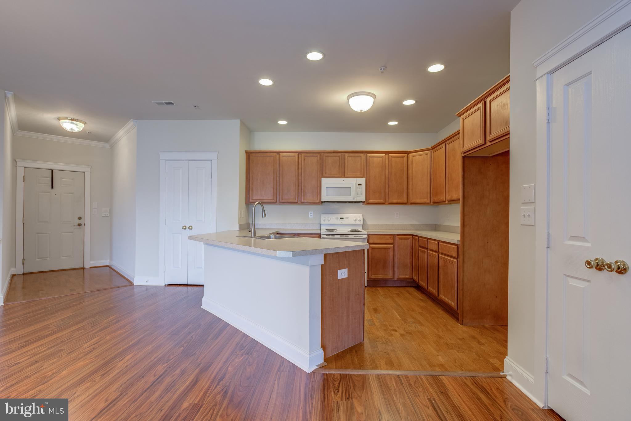 186 Bucktown Xing Road, Unit 43B Pottstown, PA 19465 - Photo 7 of 38 Pantry & full compliment of appliances