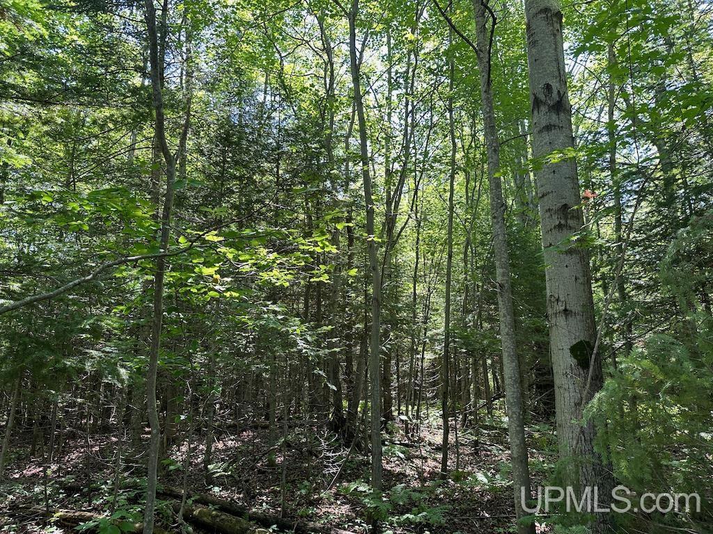 Parcel A Webb Road Grand Marais, MI 49839 - Photo 3 of 29
