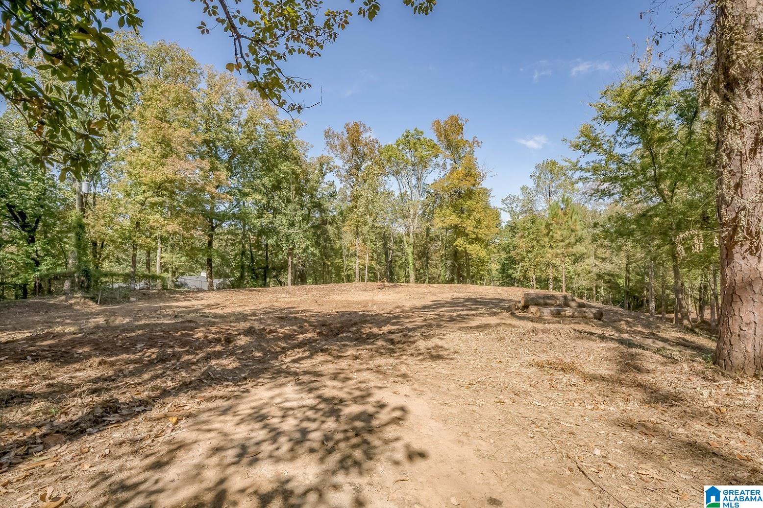 3300 Sherwood Road Birmingham, AL 35223 - Photo 4 of 16