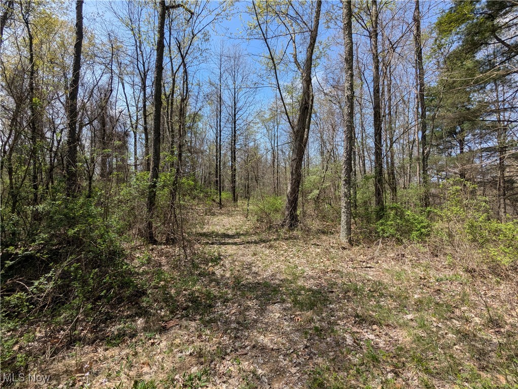 67739 Hendrysburg Freeport Road Barnesville, OH 43713 - Photo 13 of 26 Gallery Image 13
