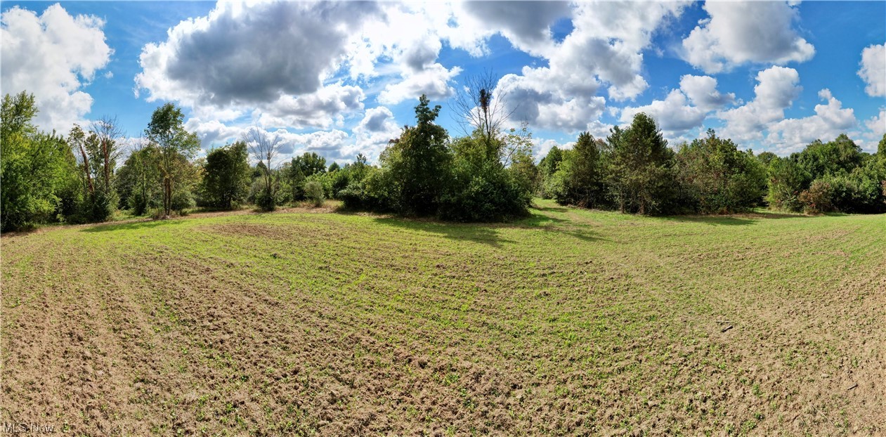 Fogle Road Caldwell, OH 43724 - Photo 8 of 18 View of yard