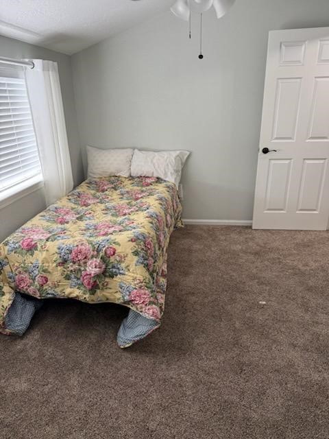 3808 Sunray Lane Pasadena, TX 77503 - Photo 24 of 29