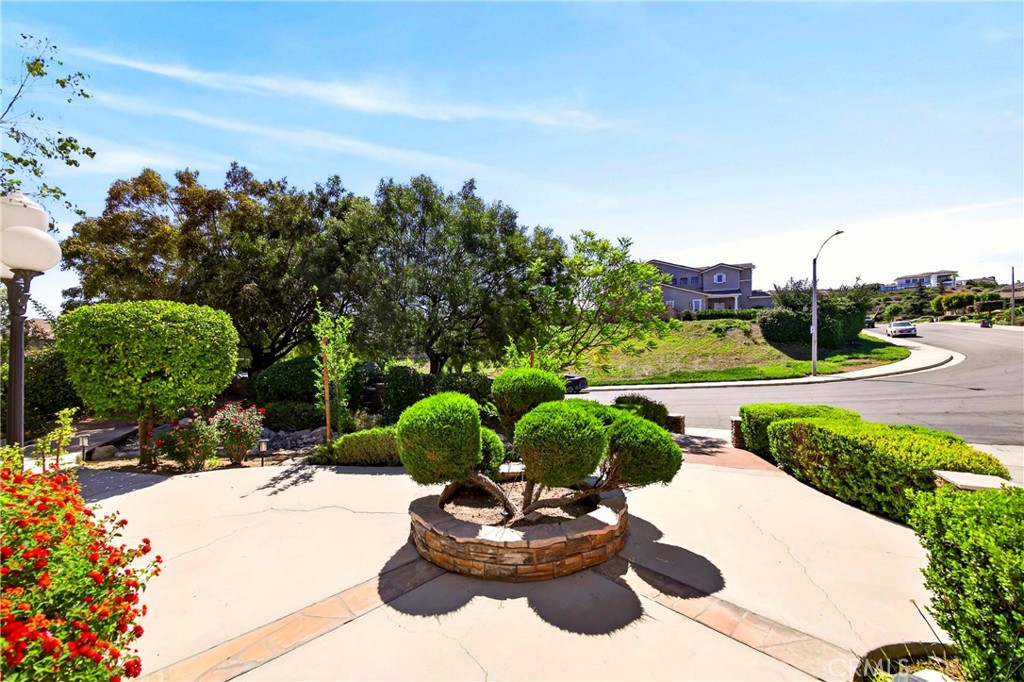 16375 Ory Circle Riverside, CA 92503 - Photo 38 of 51 a view of a backyard with plants and lake